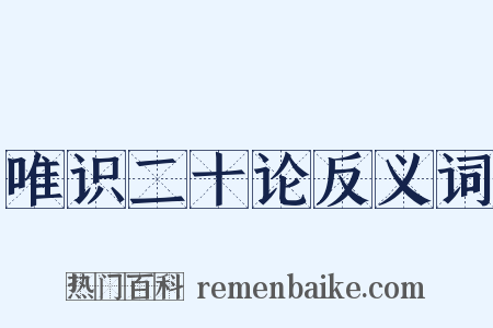 唯识二十论反义词是什么意思的图片